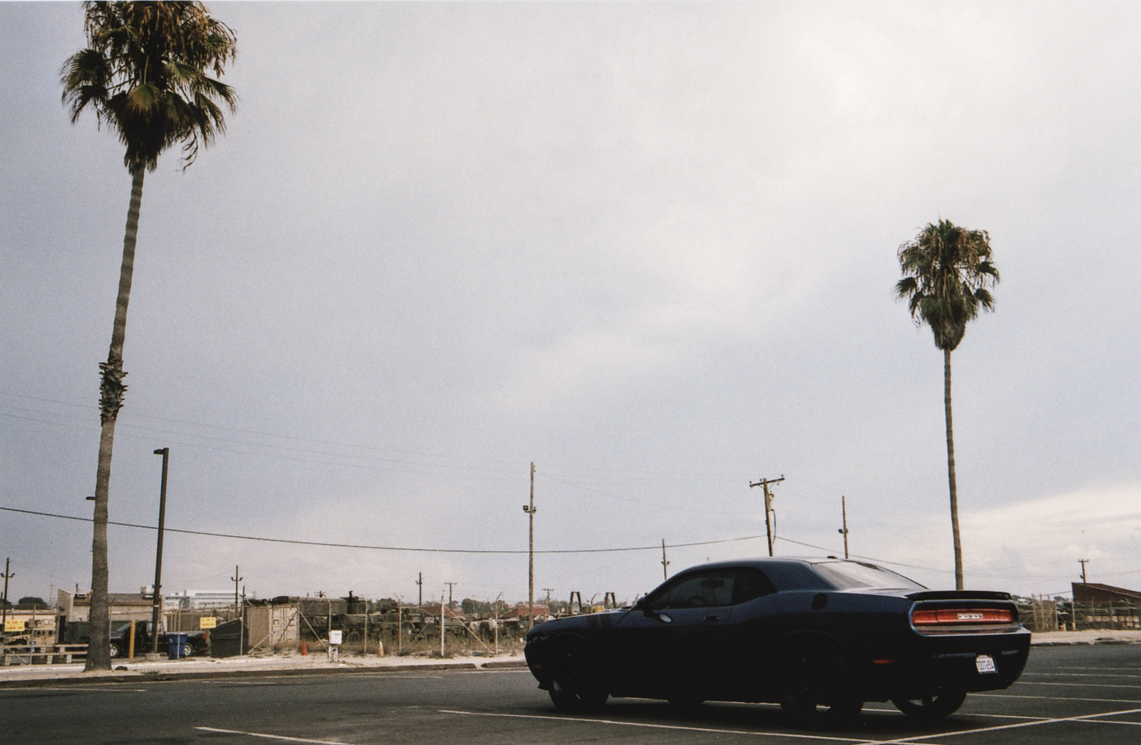 dodge charger on parking lot with palm trees
