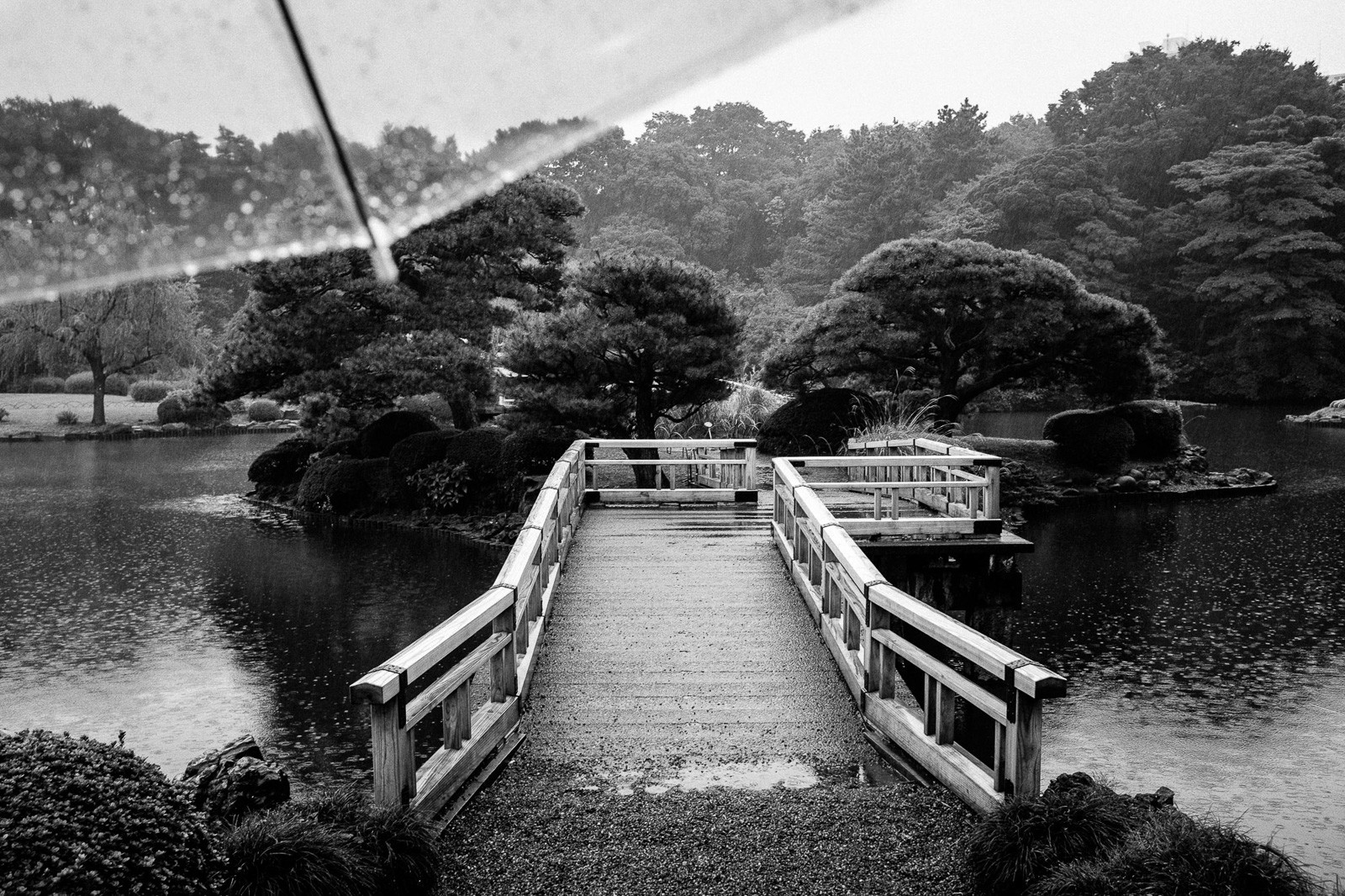tokyo-rains-1.jpg